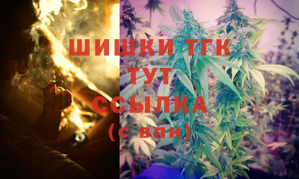 индика Богданович